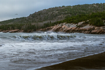 coastal maine on foggy day acadia national park waves crashing on the beach pine forests on the atlantic ocean rocky coastal shores