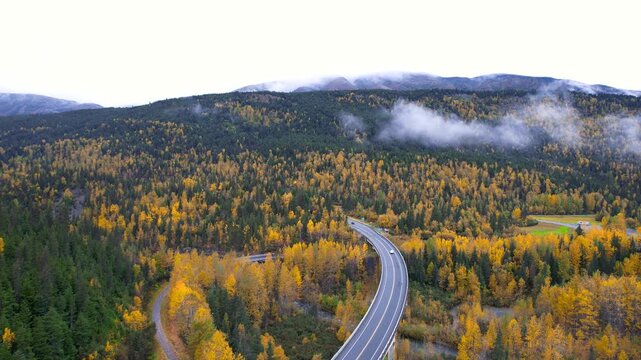 Scenic Seward highway with colorful fall foliage in autumn time.