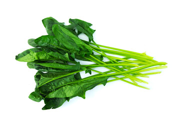 Group of fresh Spinach (Spinacia oleracea) isolated on white background top view flat lay stacking