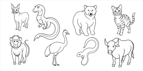 Set of hand-drawn line art illustrations of jungle animals & plants