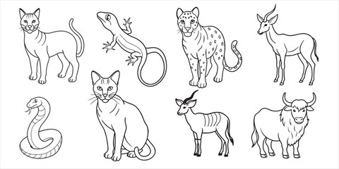 Set of hand-drawn line art illustrations of jungle animals & plants