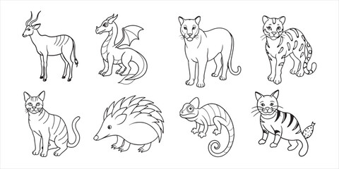 Set of hand-drawn line art illustrations of jungle animals & plants