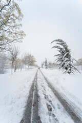 The Filomena storm in Torrejon de Ardoz ( Madrid ) leaving streets as ski slopes.