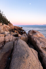 pastel colors sunset sky in maine coast with pine trees and atlantic ocean rocky coast lines north east united states 