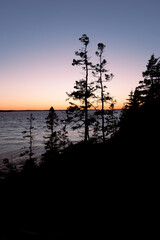 pastel colors, sunset sky, maine, coastal, pine, trees, atlantic ocean, east coast