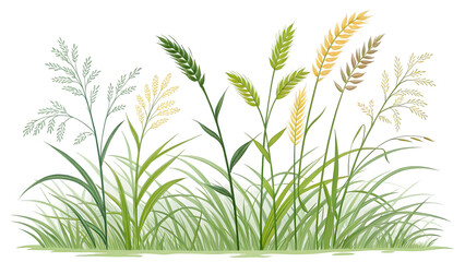 Grass png