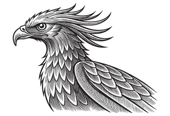 Fototapeta premium Phoenix bird head sketch hand dawn drawing vector illustration