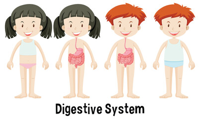 Children's Digestive System Illustration