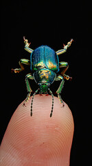 Microscopic view sapphire beetle resting fingertip brilliant green metallic vivid antennas black studio background highlighting insect anatomy elegance Close-up macro exotic rare photography Tiny