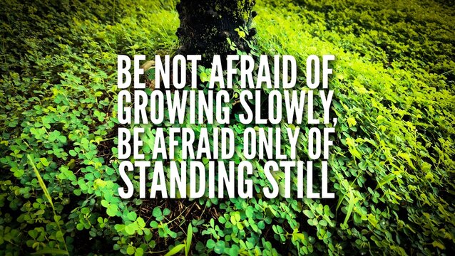 words or quotes of motivation and inspiration to grow or self-growth Be not afraid of growing slowly, be afraid only of standing still.