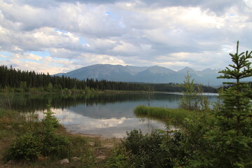 reflection of trees in lake