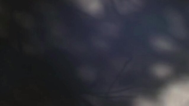 Wall interior background, dark room with shadow form window. Shadow motion.