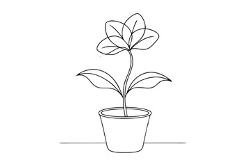 Line Drawing of Potted Flower - Elegant Line Art Vector Illustration