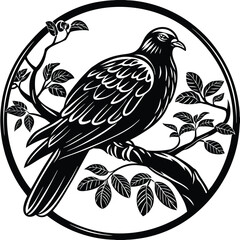 Obraz premium Pigeon vector silhouette, isolated white background 