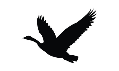 Flying Goose Bird Silhouette Design  And Vector Illustration. 