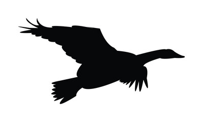 Flying Goose Bird Silhouette Design  And Vector Illustration. 
