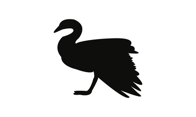 Goose Bird Silhouette Design  And Vector Illustration. 