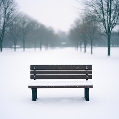 Snowy park bench, winter scene.
