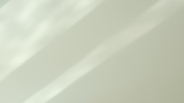 Wall interior background, studio and backdrops show products.with shadow from window color white and beige. background for text insertion and presentation product	

