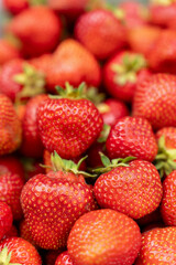 Delicious Red Strawberries Closeup on Sunny Day. Fresh Fruit Background Concept. Top view