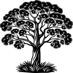Obraz premium Tree vector silhouette, isolated white background