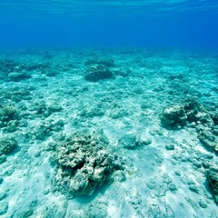 Underwater scene of a sandy seabed with scattered coral formations.