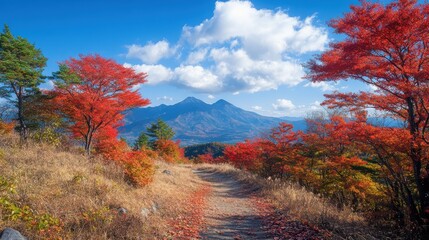 Obraz premium Incredible autumn scene with bright maple trees,