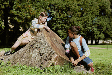 African American boy and Caucasian girl spending time in local park or botanical garden, counting old tree stump rings