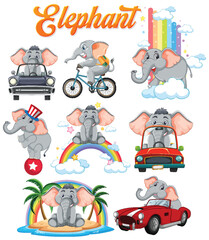 Playful Elephant Adventures Collection