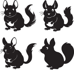 set of funny animals cat