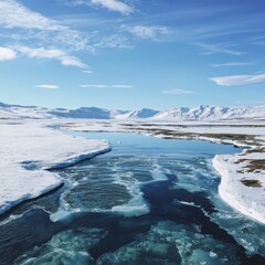 Obraz premium Visualizing climate change melting ice patterns unveiling arctic ecosystem networks in a stunning landscape
