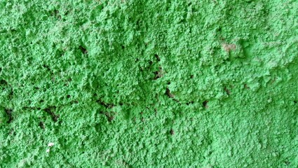 green wall texture