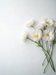 Fototapeta premium delicate arrangement of white flowers against a minimalistic background