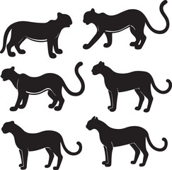 set of lion vector