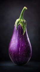 Fresh purple eggplant on a dark background.