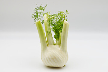 Fresh fennel bulb with vibrant green leaves.