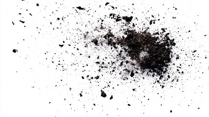 Dark brown soil particles scattered on white background.