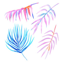 Watercolor palm leaves in pastel colors