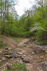 nature park , a walk along the riverbed with an overview of the stone bottom and banks