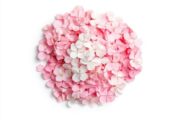 Top View of Pink and White Cherry Blossom Petals