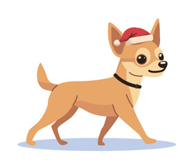 Chihuahua wearing Santa hat festive theme cute dog walking on white background holiday design