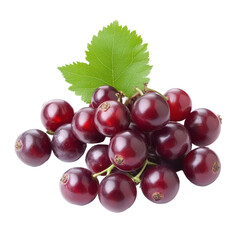 Fototapeta premium Fresh bengal currants and carandas plums displayed against a clean transparent background with green leaves visible, bengal-currants, carandas-plum,isolated on transparent background