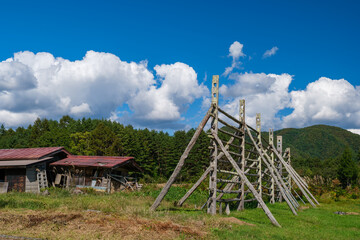 山里のハザ掛け