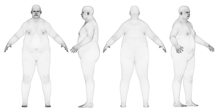 Wire frame overweight human body in virtual reality. overweight people. Medical scanned 3D model. Polygonal technology design.