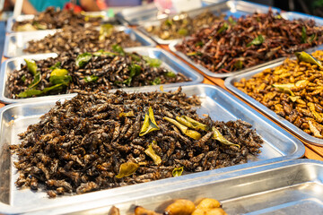 Fried insects meal worms for snack. Fried grasshoppers is food insect. Thai snacks on street foods