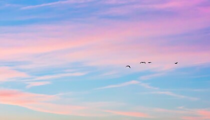 Fototapeta premium Sceic images of birds soaring in the sky