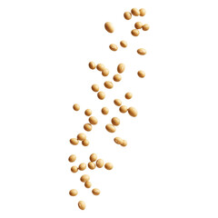 falling soybeans isolated on transparent white background, clipping path