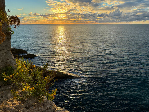 Sea, sunset sky and scenic coast with yellow flowers in rock at evening.