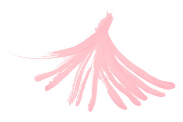 Pink brush strokes on transparent background and hand-painted watercolor texture.