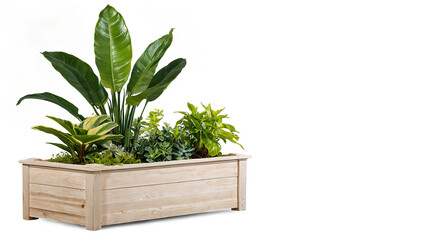 Large Wooden Planter with Mixed Greenery
